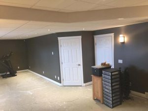 Copper Tree Renovations-Basement Renovation